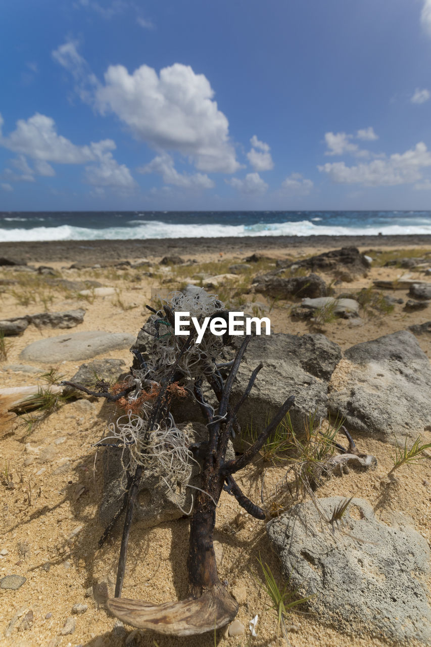 DRIFTWOOD ON BEACH AGAINST SKY