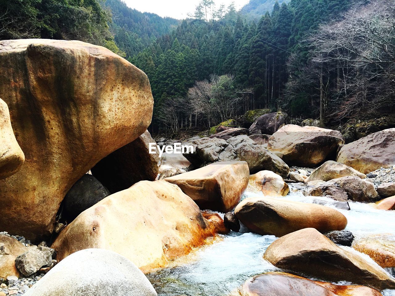 Stream flowing through rocks