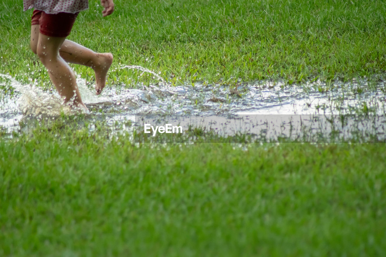 LOW SECTION OF PERSON WALKING ON GRASS