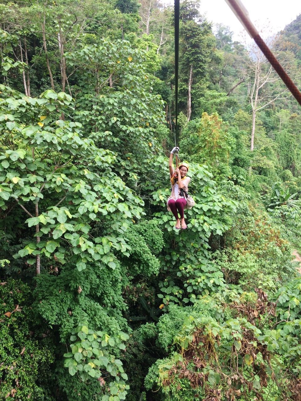 Full length of young woman zip lining in forest