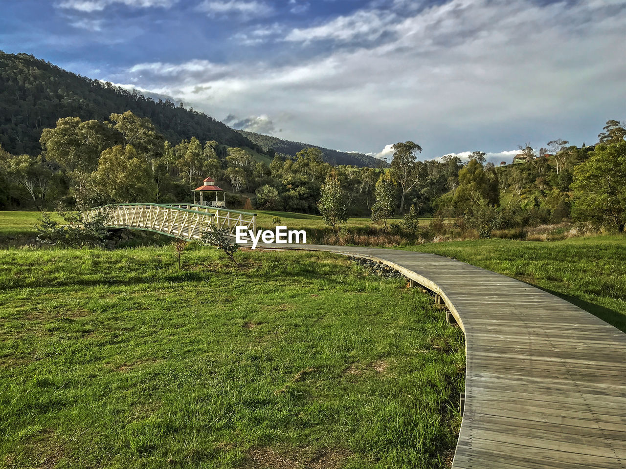 Scenic view of path and green landscape against sky