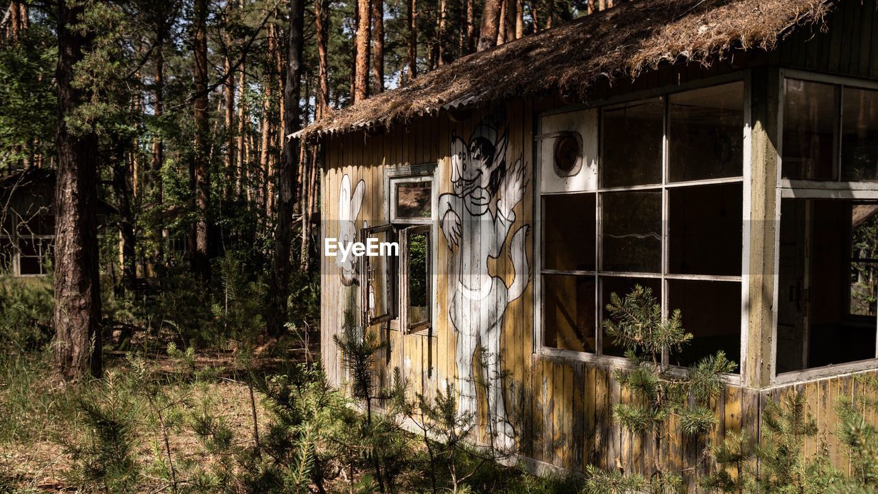 Abandoned building by trees in forest