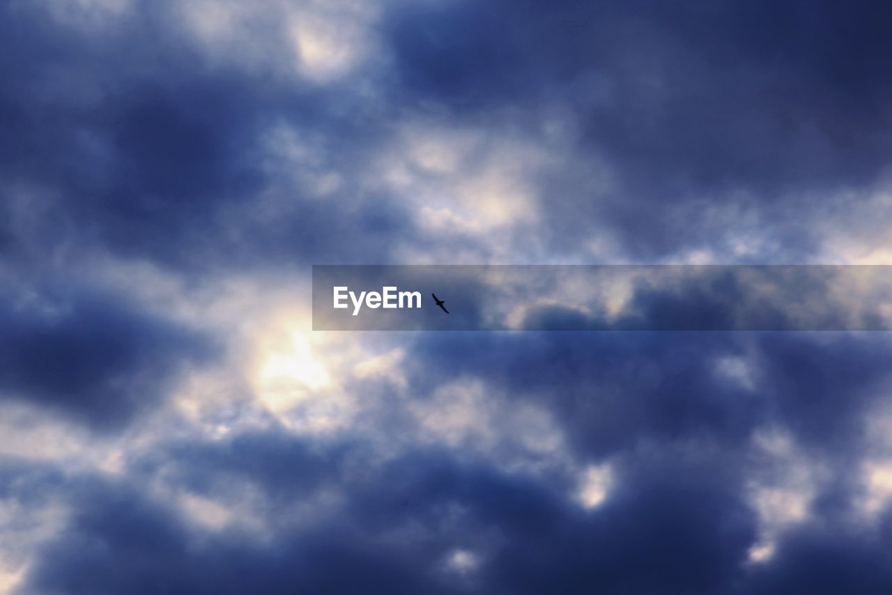 LOW ANGLE VIEW OF BIRDS FLYING AGAINST CLOUDY SKY