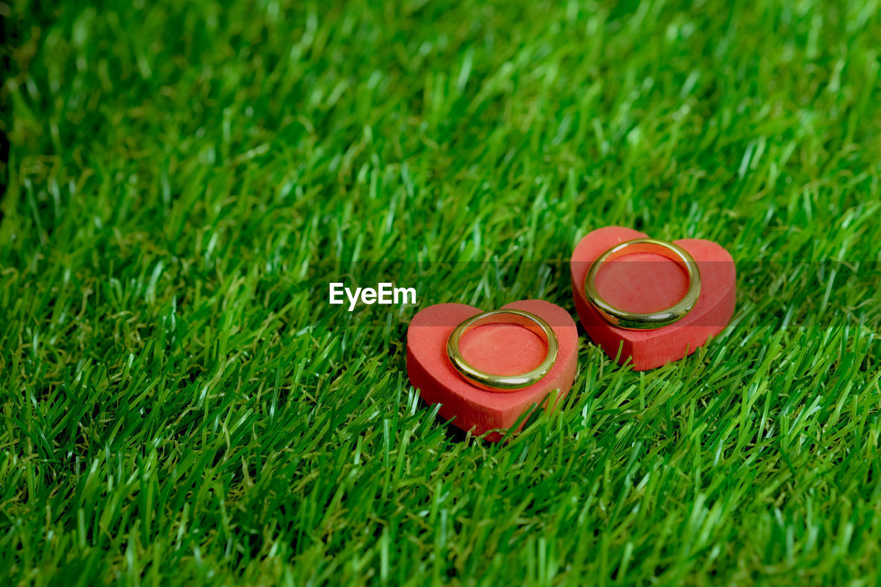 Close-up of heart shape with rings on grass