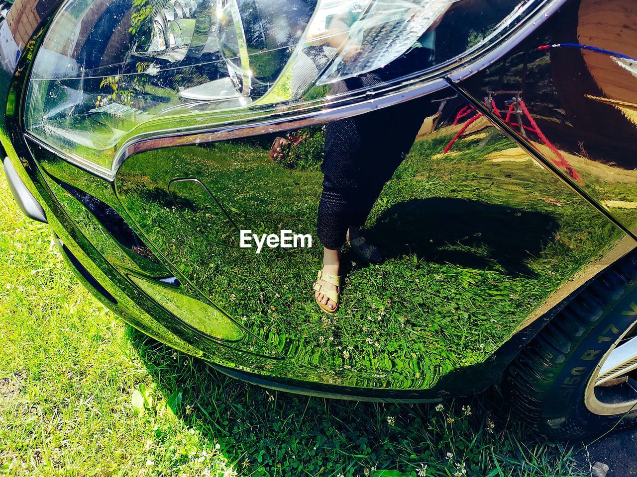 LOW SECTION OF PERSON STANDING BY GRASS