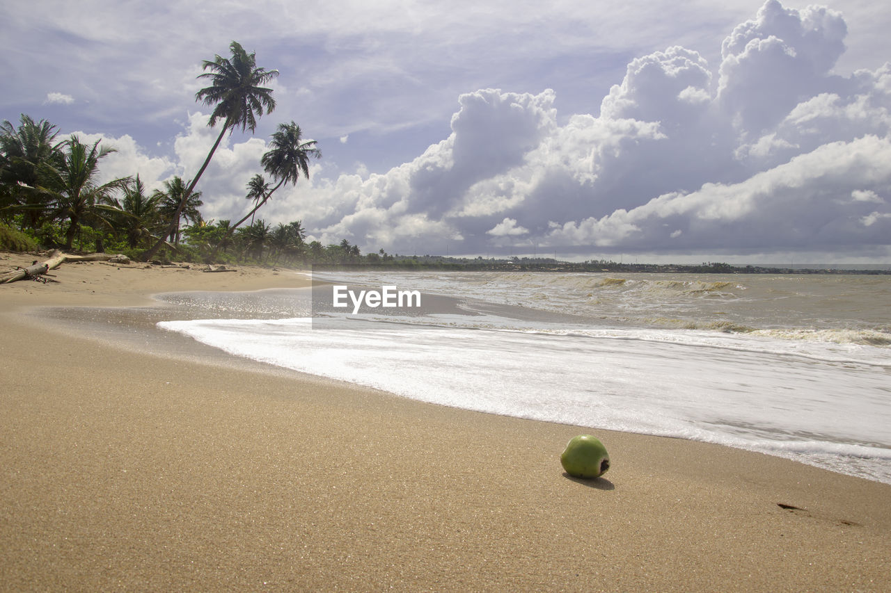 SCENIC VIEW OF BEACH