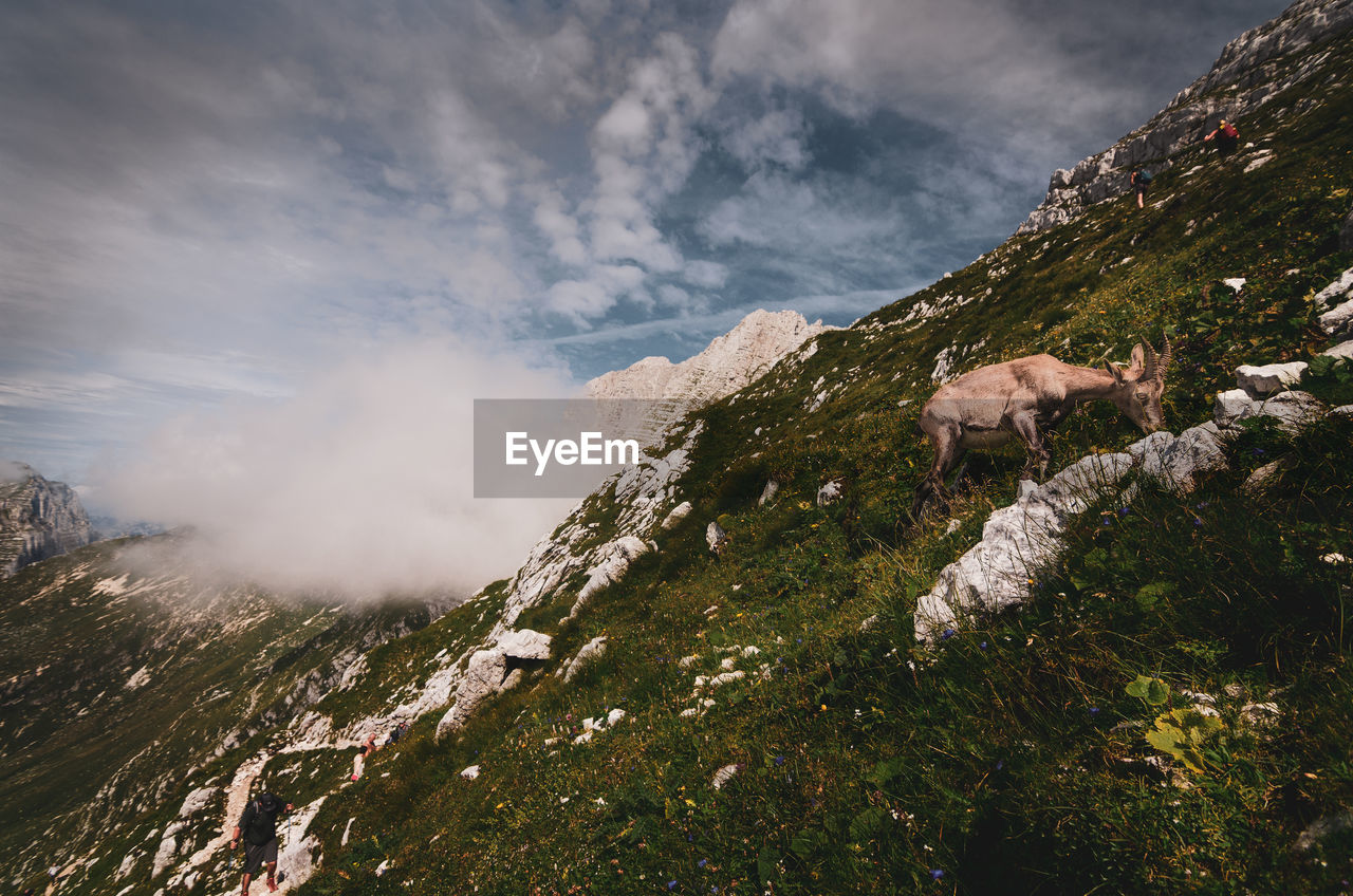 VIEW OF MOUNTAIN AGAINST SKY