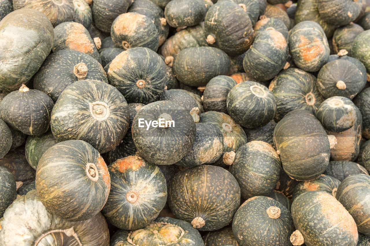 FULL FRAME SHOT OF BLUEBERRIES