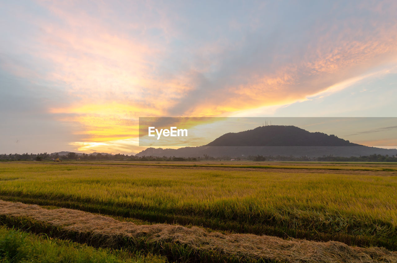 landscape, environment, sky, horizon, land, beauty in nature, plain, scenics - nature, cloud, sunset, nature, plant, field, grassland, prairie, grass, mountain, rural scene, dawn, tranquility, no people, agriculture, sunlight, dramatic sky, natural environment, tranquil scene, rural area, sun, steppe, outdoors, non-urban scene, twilight, summer, crop, orange color, tree, idyllic, meadow, horizon over land, sunbeam, travel destinations, travel, mountain range, green, cereal plant, back lit, social issues, cloudscape, blue, evening, moody sky, water, multi colored, freshness, yellow