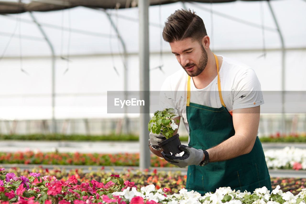 Young man working in flower pot