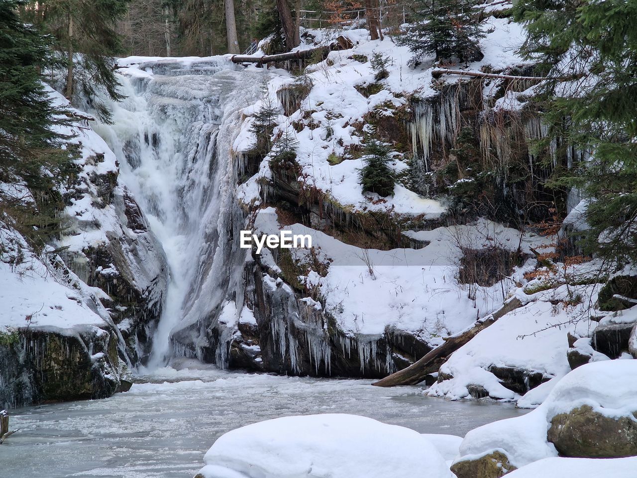 snow, cold temperature, winter, tree, waterfall, beauty in nature, scenics - nature, nature, plant, environment, forest, water, land, stream, wilderness, white, no people, landscape, rock, frozen, non-urban scene, tranquility, day, ice, outdoors, tranquil scene, mountain, water feature, travel, river, freezing, travel destinations, idyllic