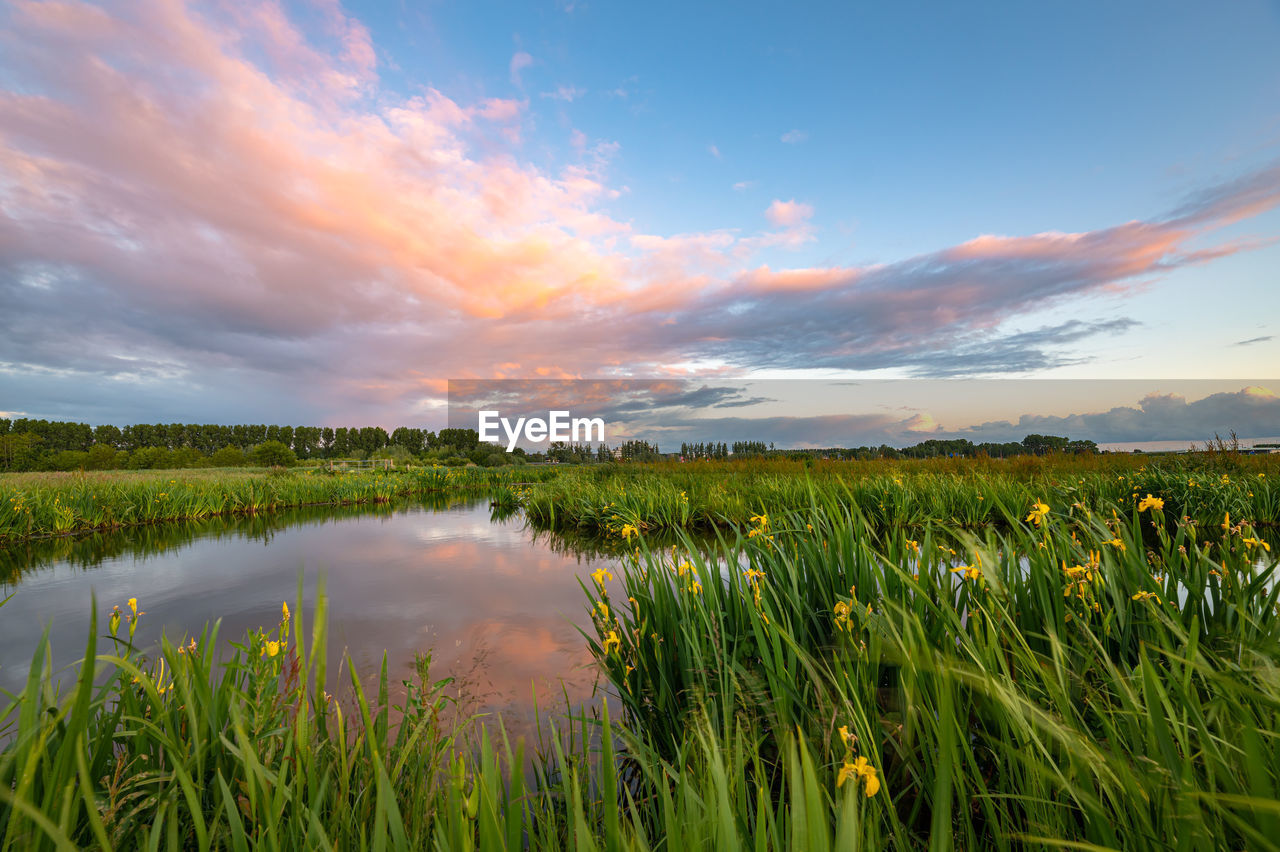 Colorful sunset clouds over a wetland near gouda, netherlands