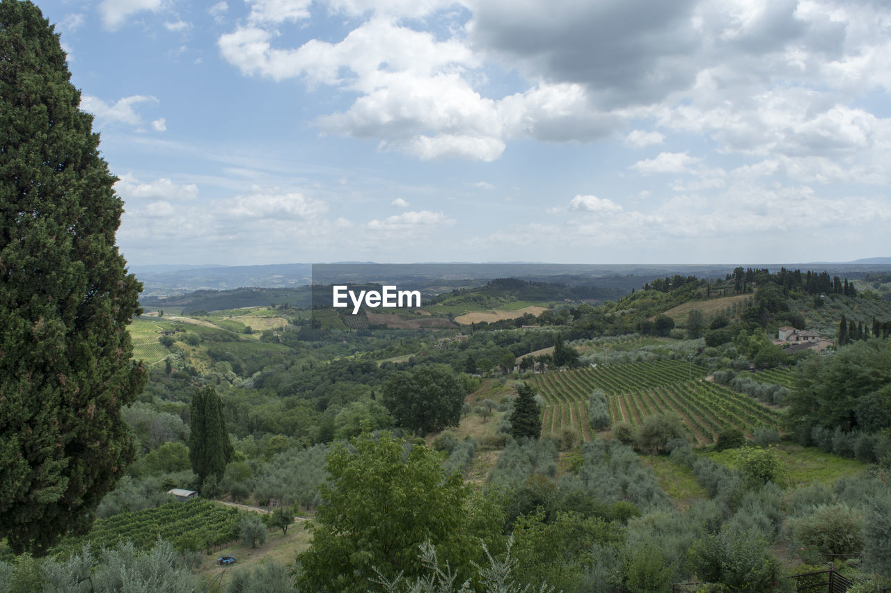 High angle view of trees on landscape against sky