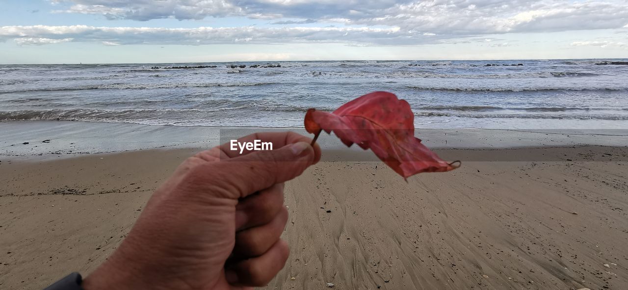 Cropped image of hand holding sand at beach against sky