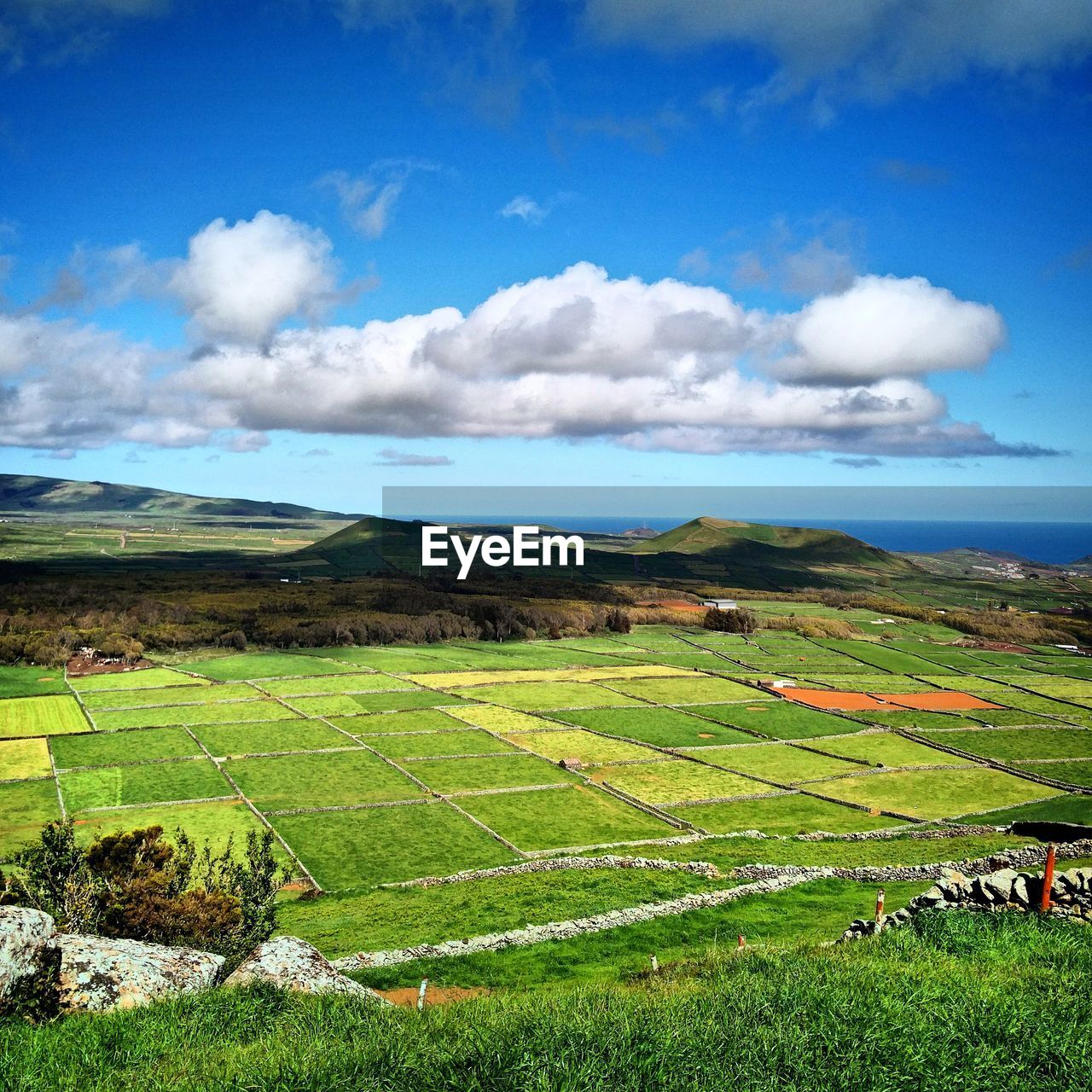 Scenic view of agricultural landscape against sky