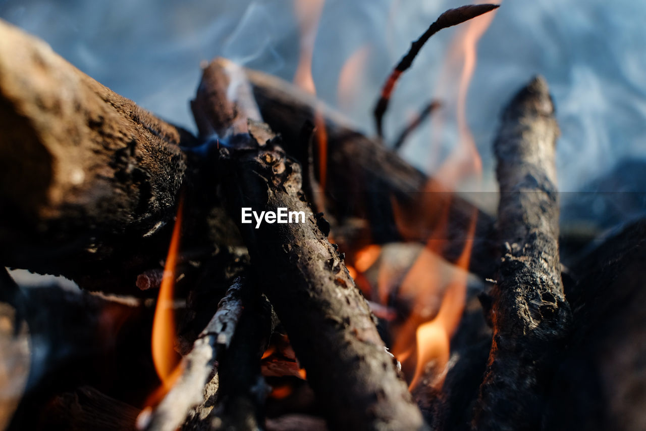 Close-up of burning firewood at campsite