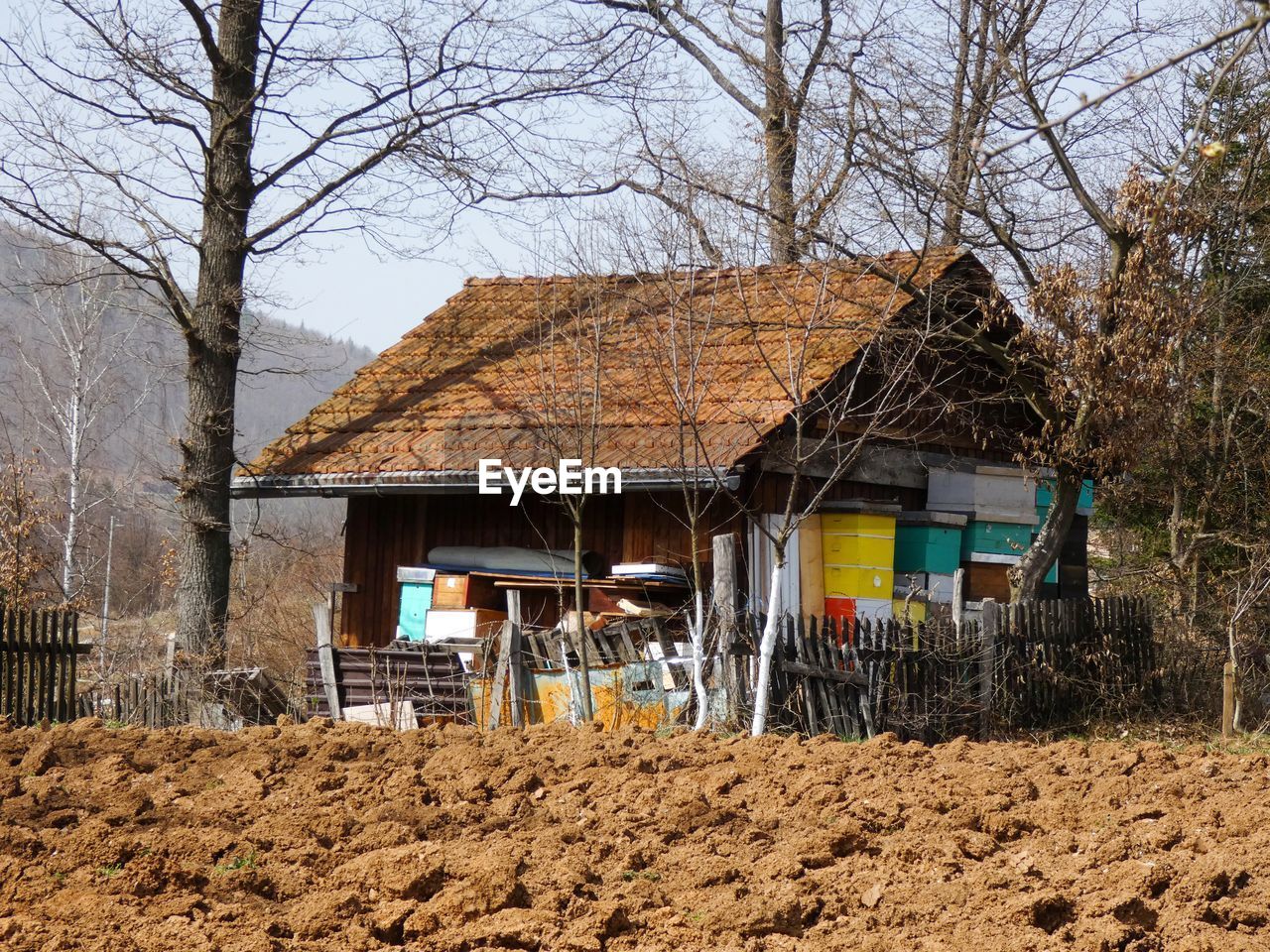 Abandoned house amidst trees in forest