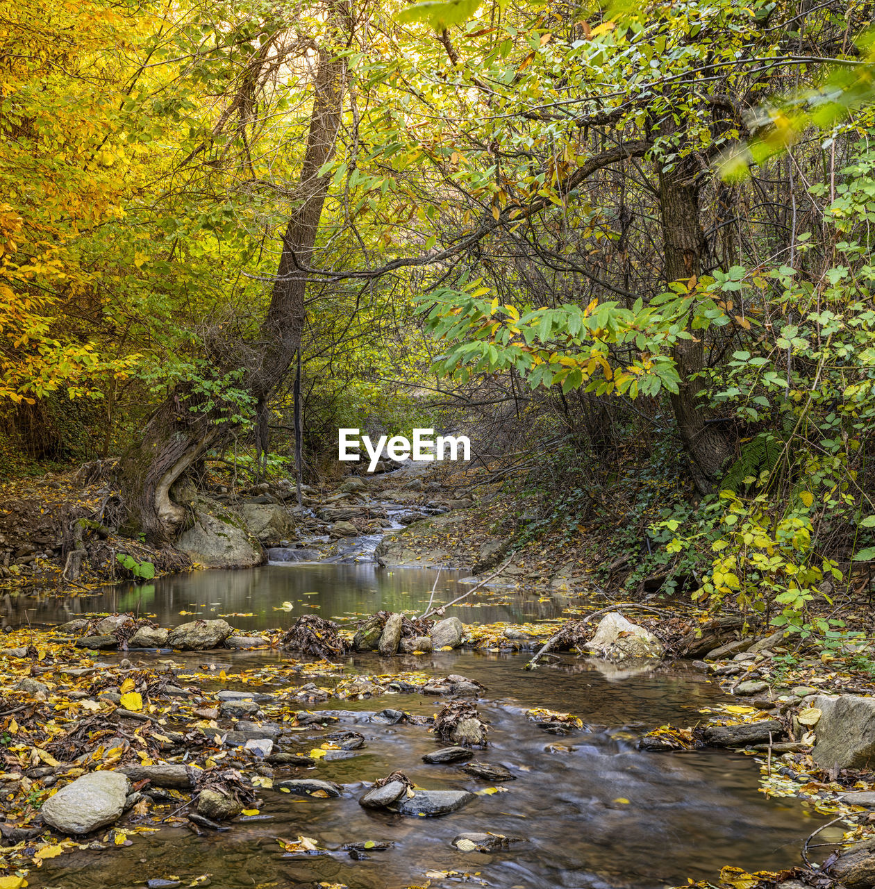 Clean mountain river in autumn.