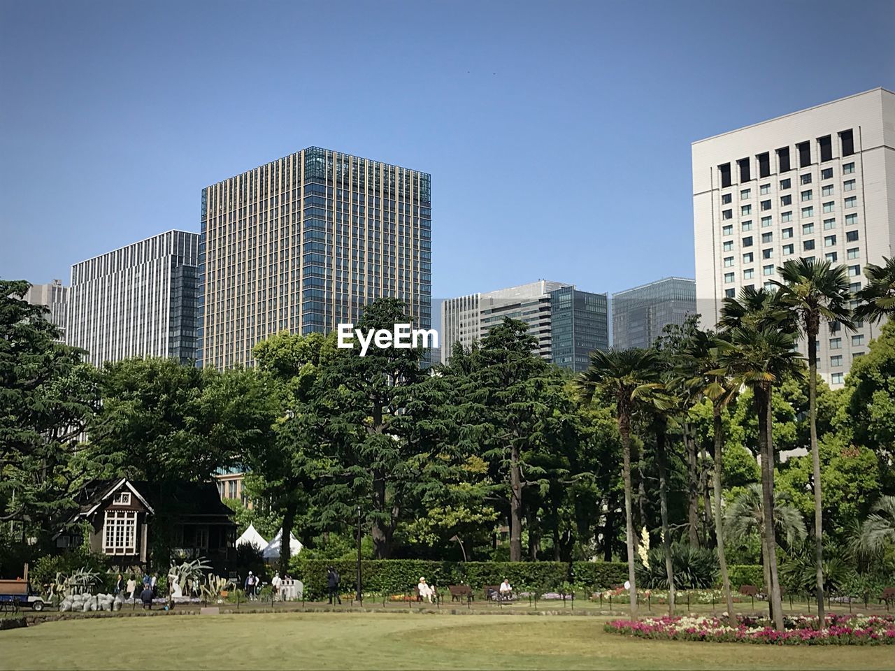 Trees by buildings against sky in city