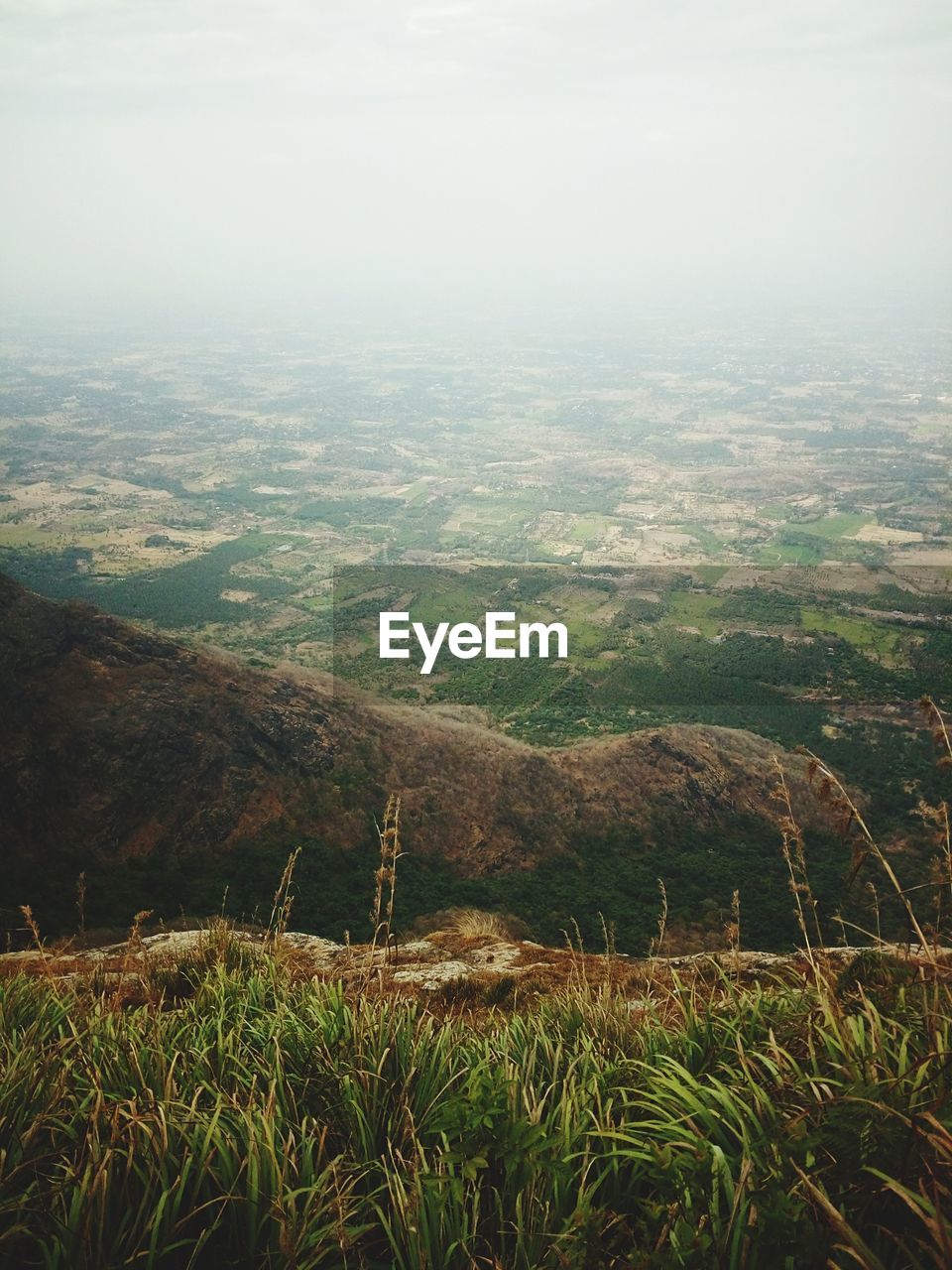 Aerial view of a field