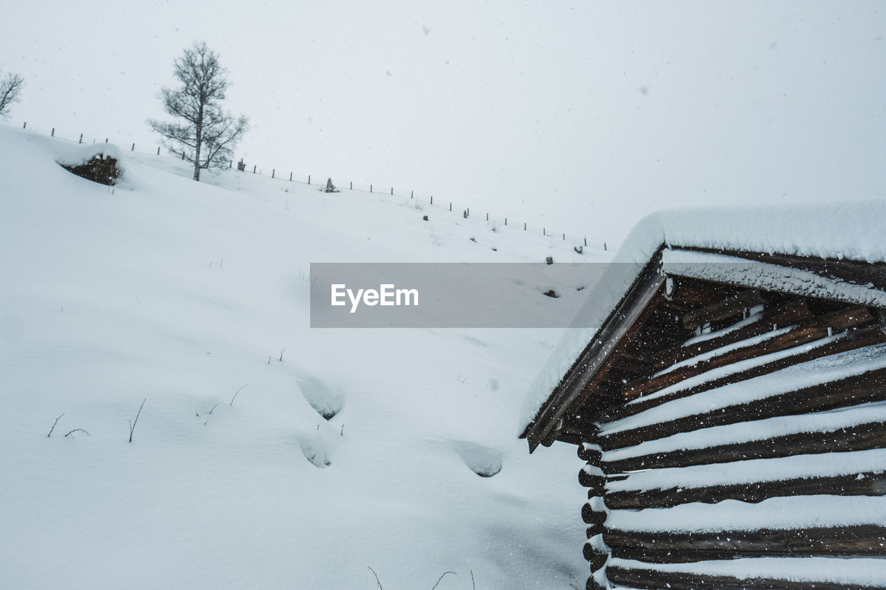 Snow covered land and trees on field with house