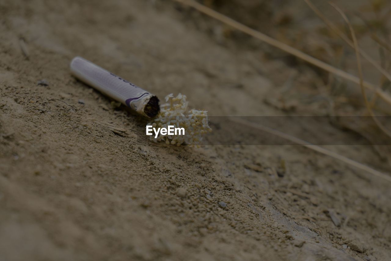 CLOSE-UP OF CIGARETTE ON SAND