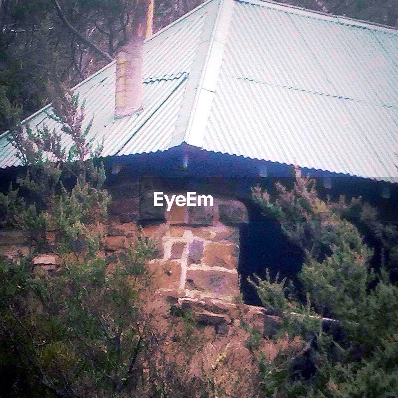 BUILT STRUCTURE WITH TREES IN FOREGROUND