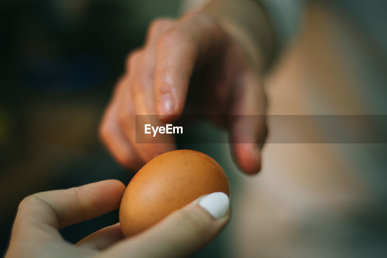 Cropped image of person giving brown egg to friend