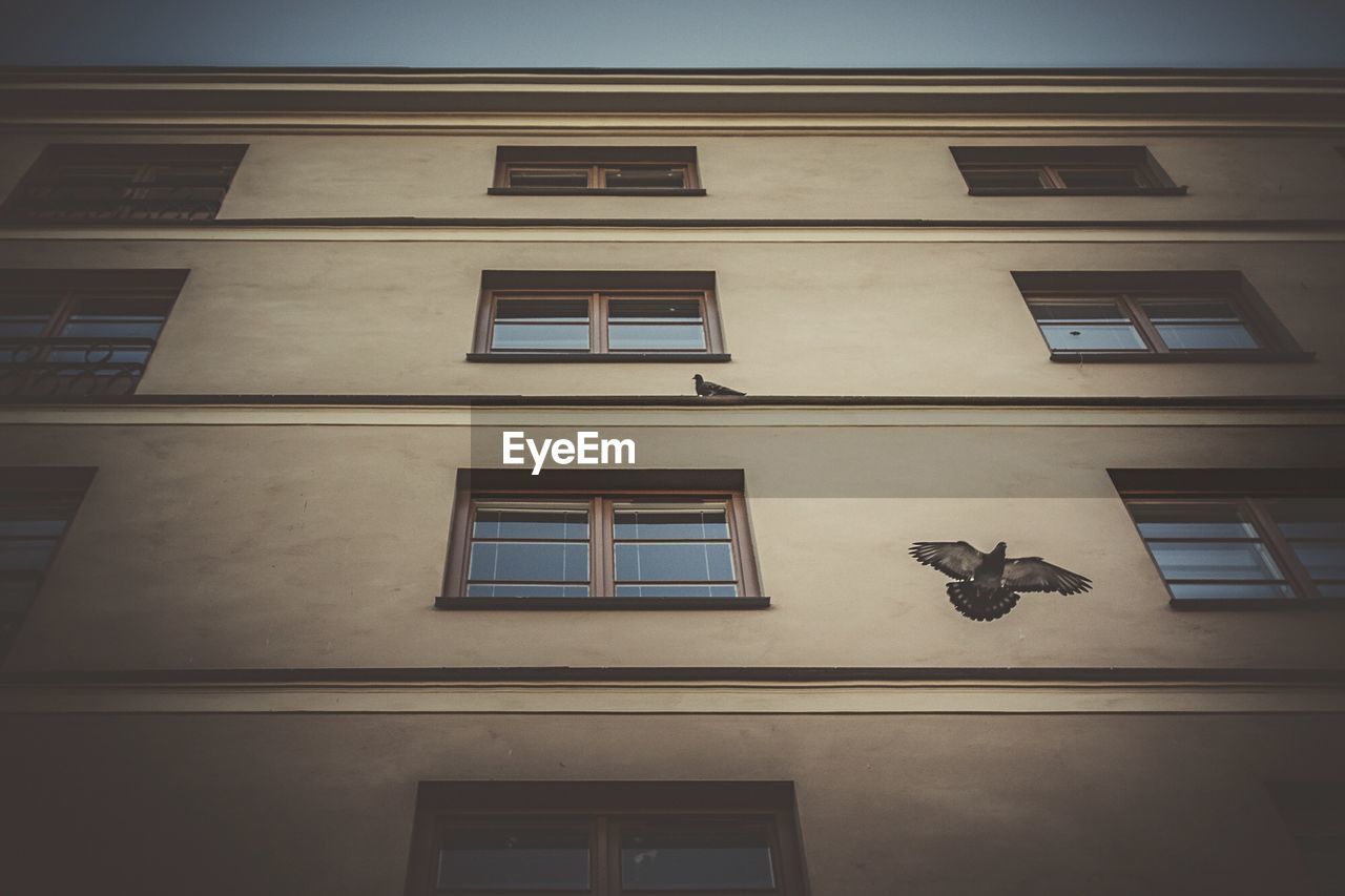 Low angle view of building against sky