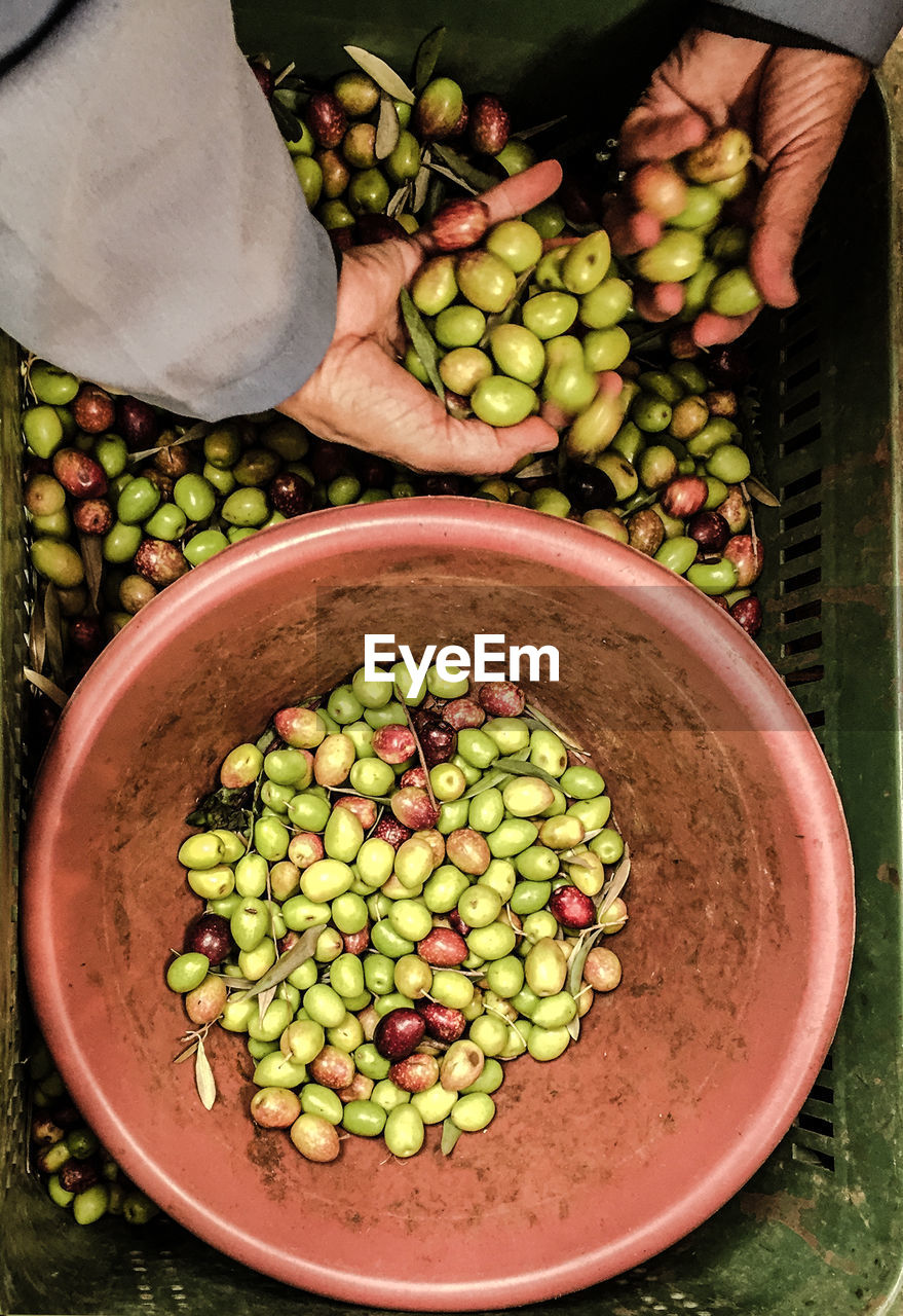 HIGH ANGLE VIEW OF PERSON WITH VEGETABLES