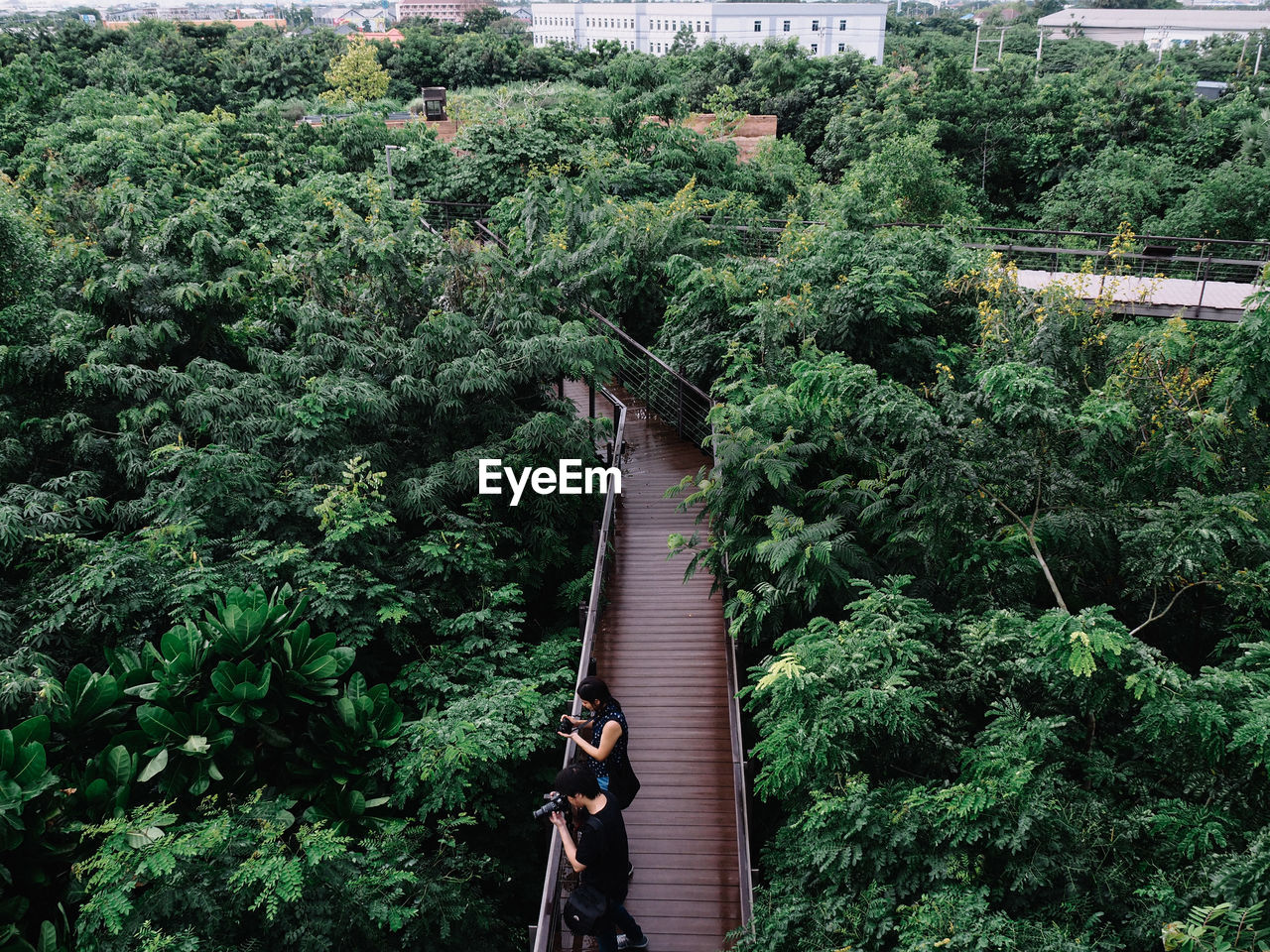 HIGH ANGLE VIEW OF MAN ON PLANTS IN FOREST