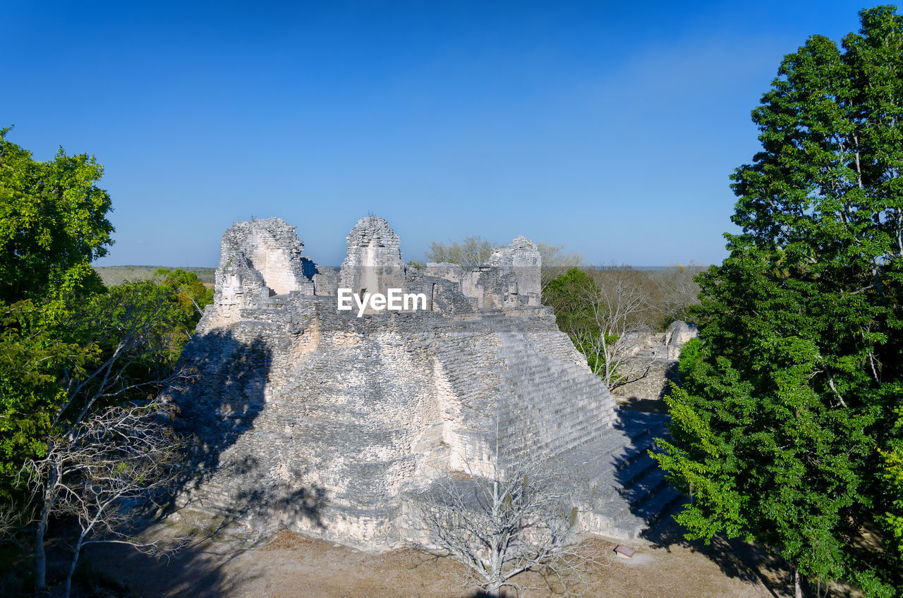 TREES ON ROCK AGAINST CLEAR BLUE SKY