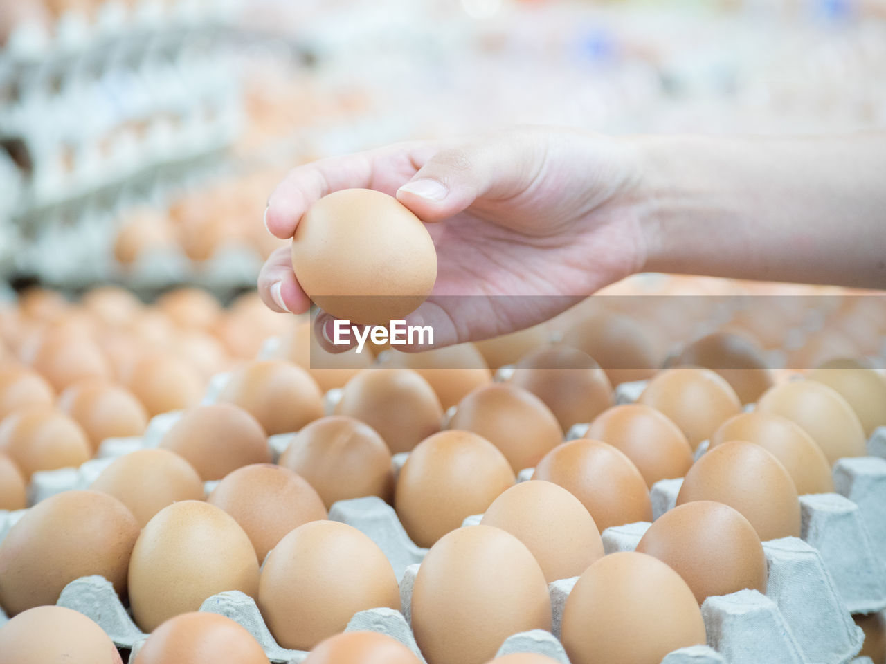 Close-up of hand holding egg