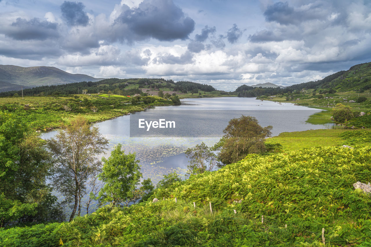 Beautiful lake, looscaunagh lough, surrounded by green ferns and hills, ring of kerry, ireland