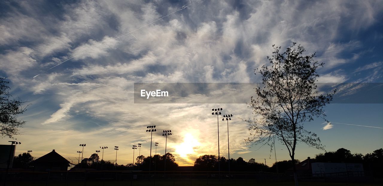 Low angle view of silhouette trees and buildings against sky during sunset