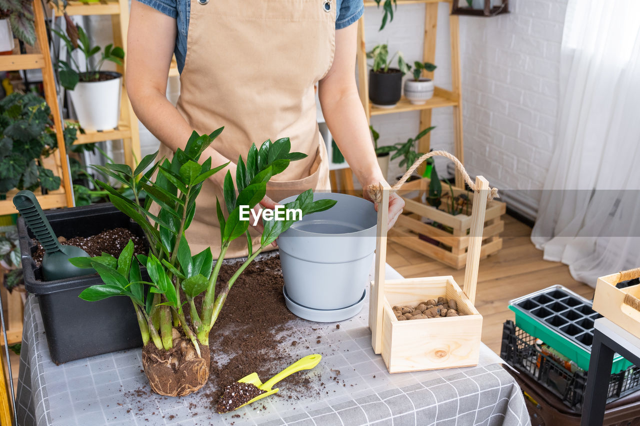 midsection of woman standing by potted plant