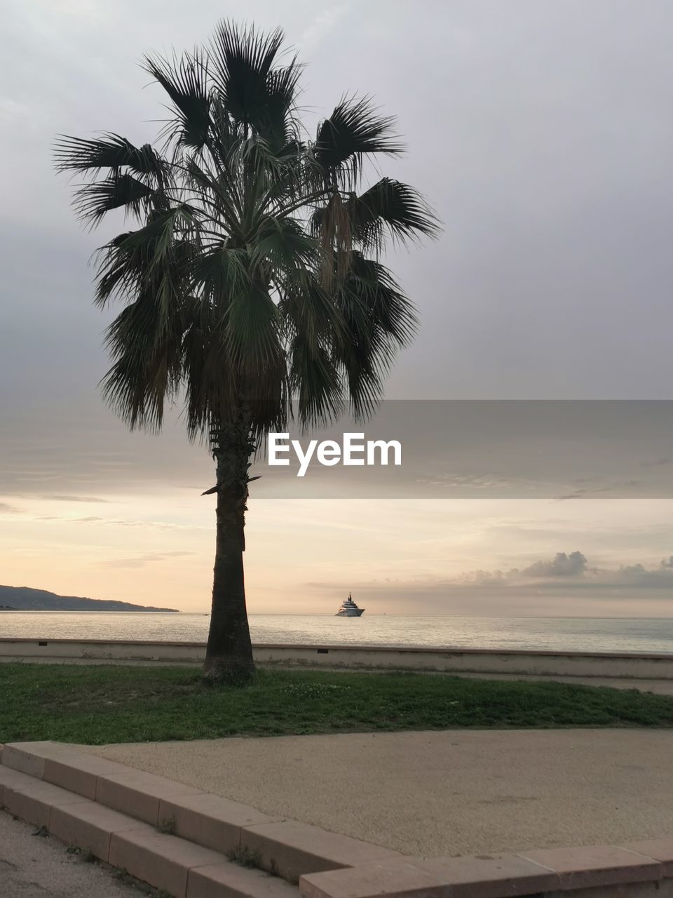 sky, tree, palm tree, tropical climate, plant, cloud, nature, land, water, beauty in nature, sunset, sea, beach, scenics - nature, tranquility, environment, horizon, ocean, landscape, coconut palm tree, tranquil scene, coast, no people, outdoors, wind, travel destinations, shore, idyllic, silhouette, tropical tree, tree trunk, dramatic sky, travel, trunk, dusk, borassus flabellifer