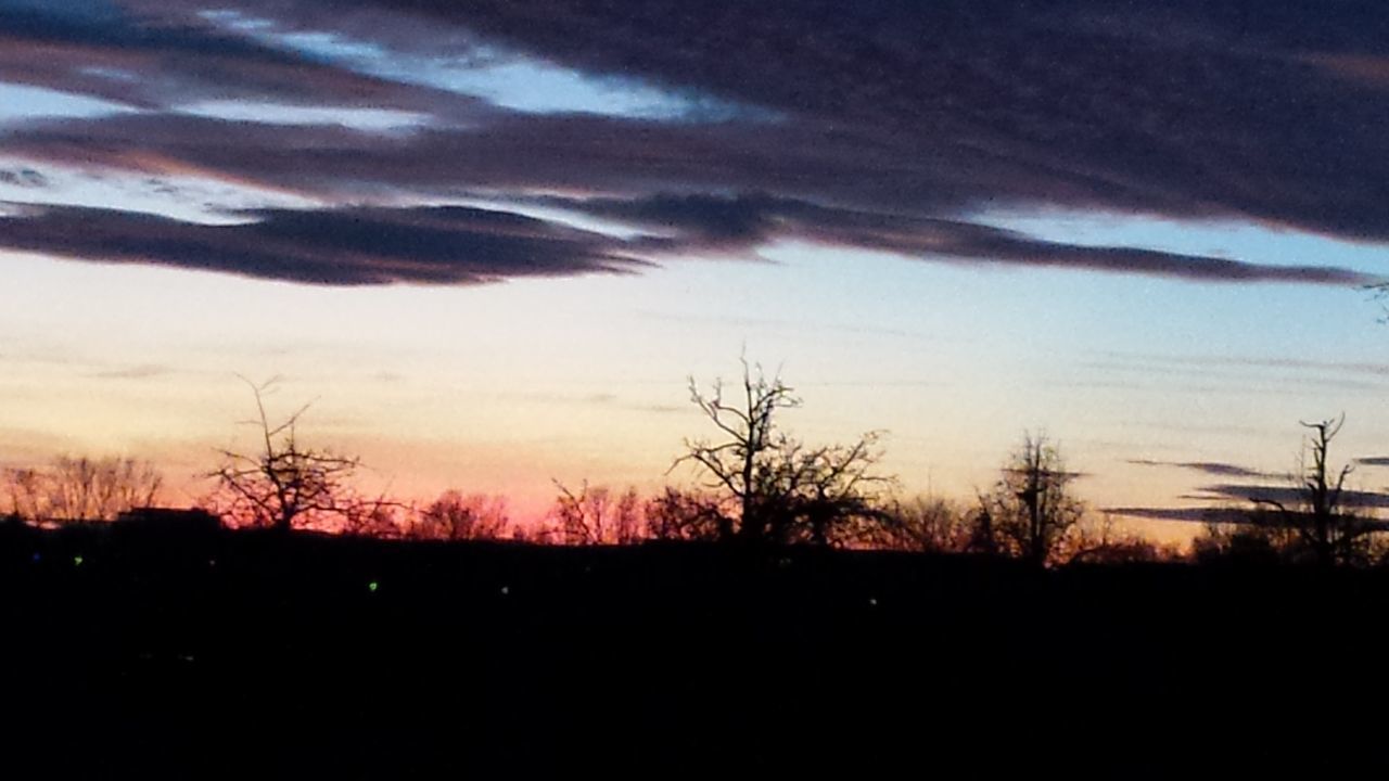 SILHOUETTE OF TREES ON LANDSCAPE AGAINST CLOUDY SKY AT SUNSET