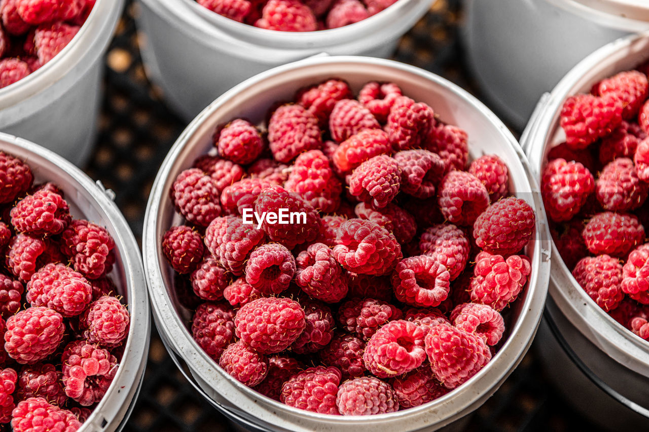 Raspberry harvest. lots of raspberries in a bucket. red, ripe raspberries in a transparent bucket