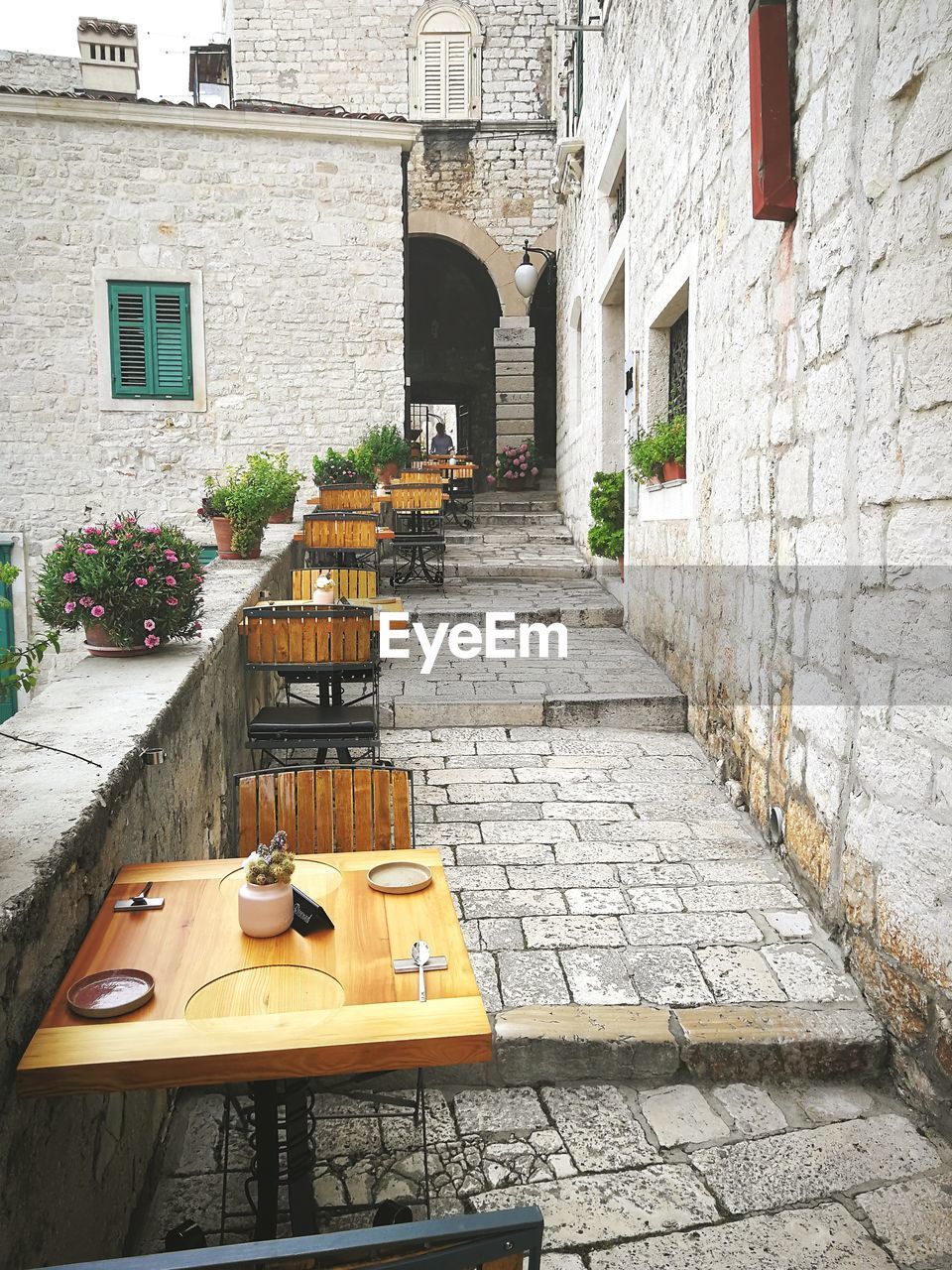 Potted plants on wall of building in croatia