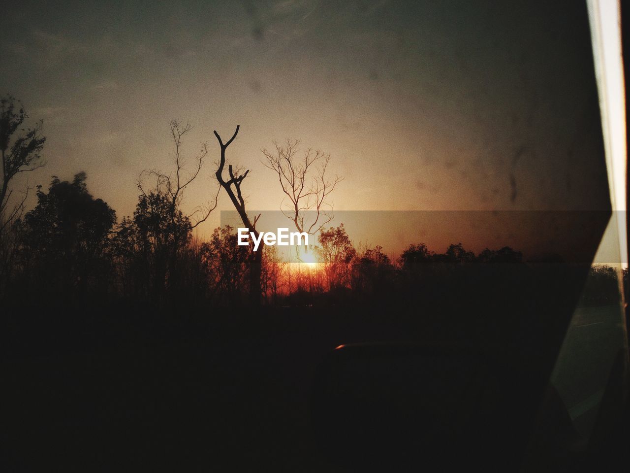 SILHOUETTE TREES ON LANDSCAPE AGAINST SKY AT SUNSET