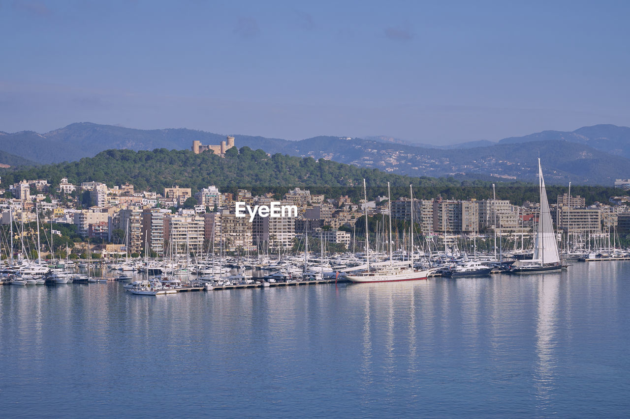 Sailboats in city at harbor against sky