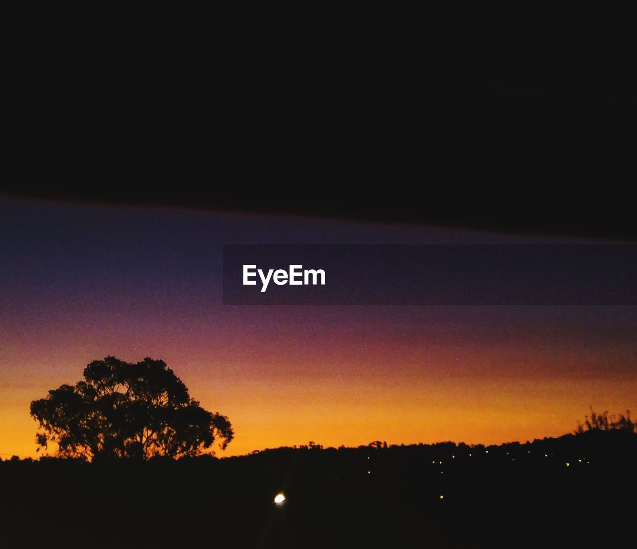 SILHOUETTE TREES AGAINST CLEAR SKY AT SUNSET