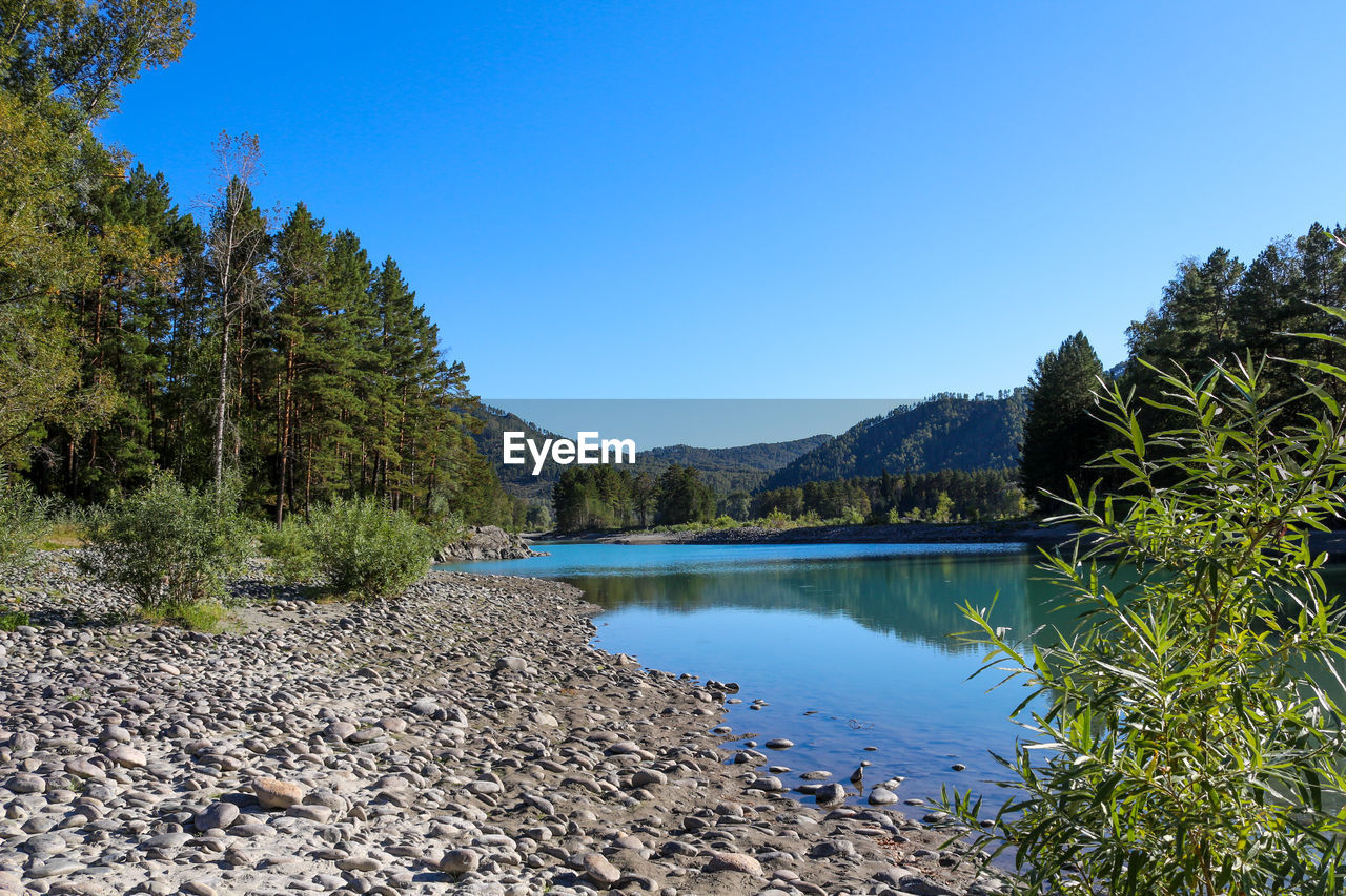 SCENIC VIEW OF LAKE BY TREES AGAINST CLEAR BLUE SKY