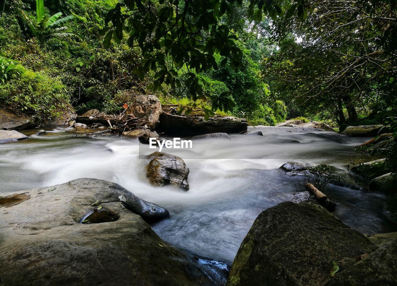 Stream flowing through rocks in forest