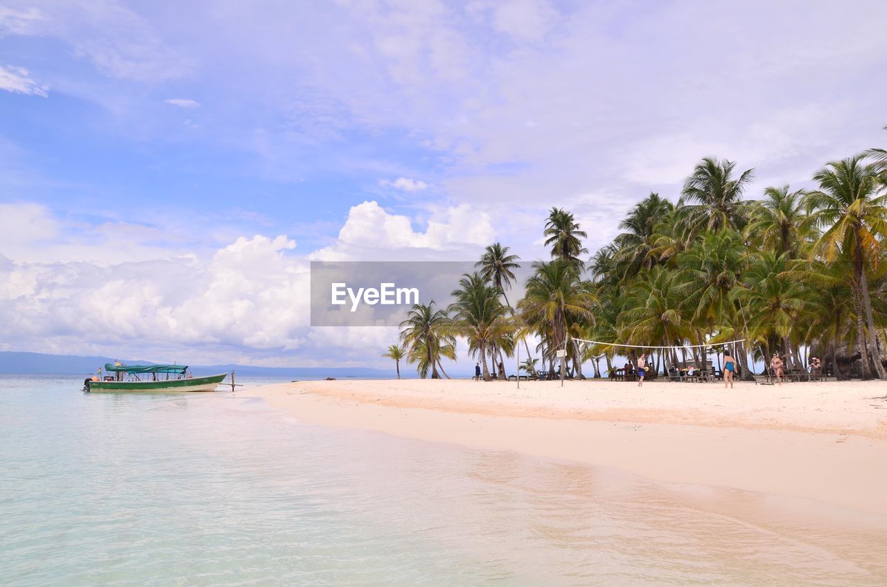 Scenic view of palm trees on beach against sky