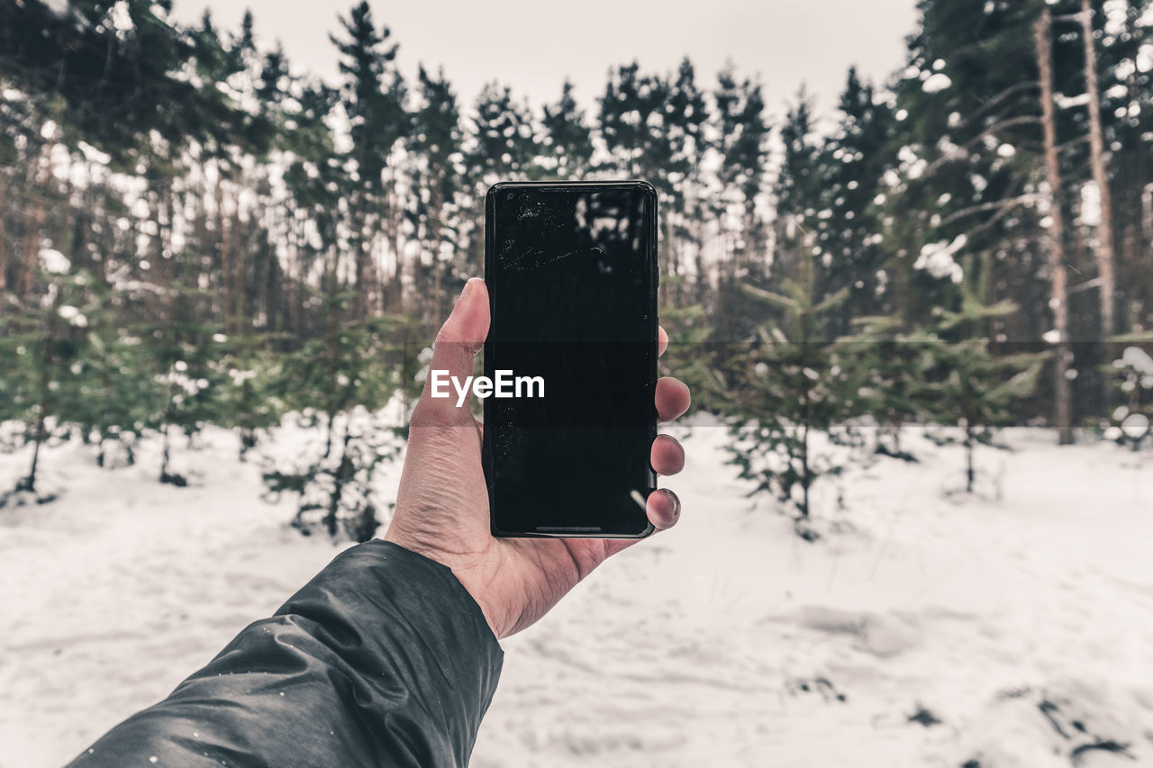 Cropped hand photographing snow covered trees with smart phone in forest