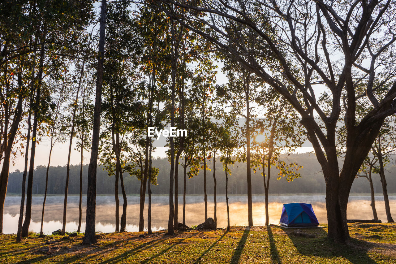 Camping under tree beautiful morning sunrise at mae puem national park in phayao, thailand
