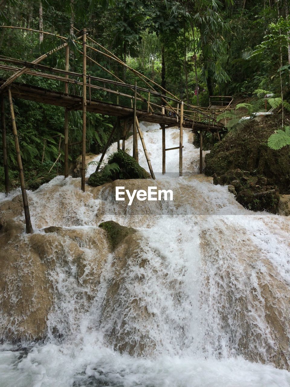 Scenic view of waterfall in forest