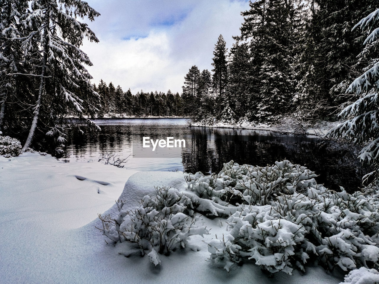 Frozen lake by trees against sky during winter